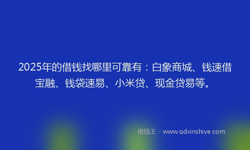 2025年的借钱找哪里可靠有：白象商城、钱速借宝融、钱袋速易、小米贷、现金贷易等。