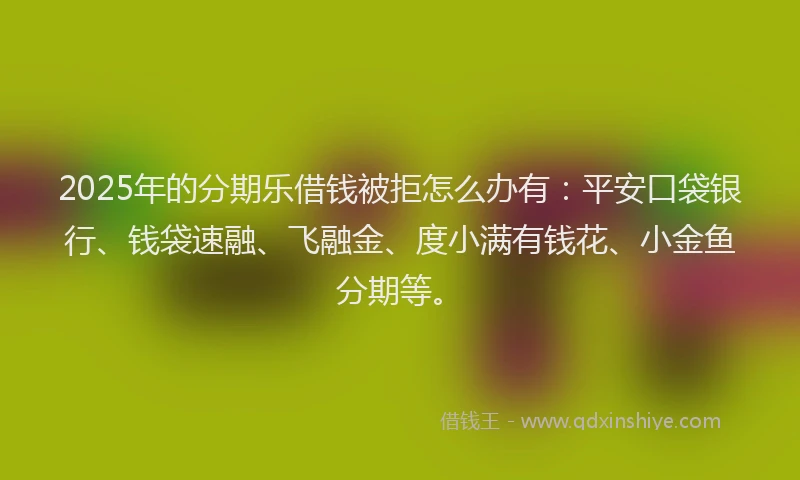2025年的分期乐借钱被拒怎么办有：平安口袋银行、钱袋速融、飞融金、度小满有钱花、小金鱼分期等。