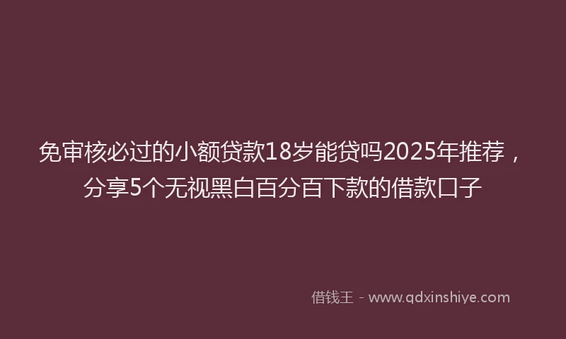 免审核必过的小额贷款18岁能贷吗2025年推荐，分享5个无视黑白百分百下款的借款口子