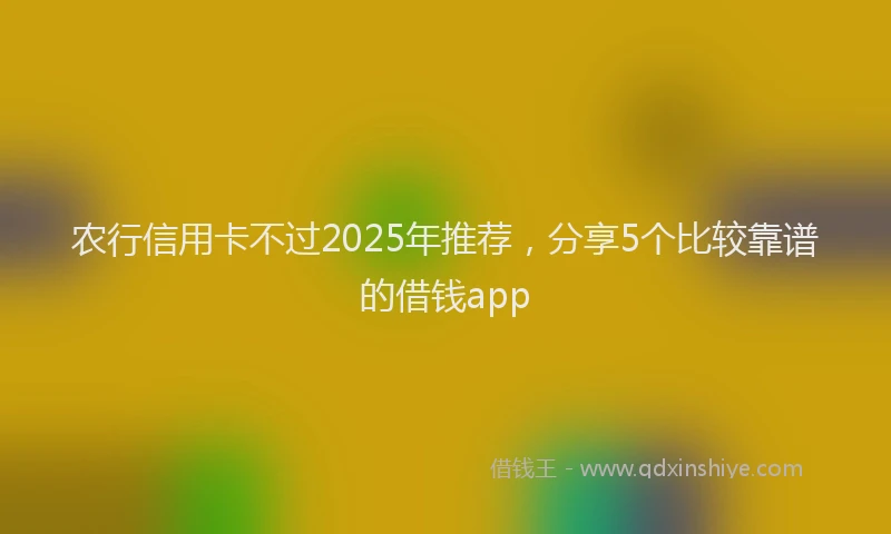 农行信用卡不过2025年推荐，分享5个比较靠谱的借钱app