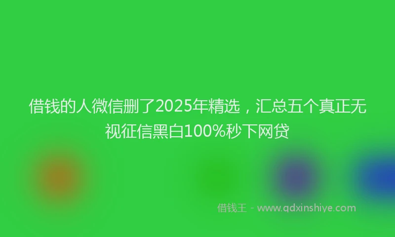 借钱的人微信删了2025年精选，汇总五个真正无视征信黑白100%秒下网贷