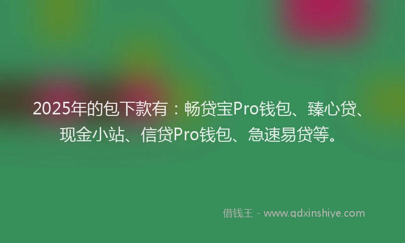 2025年的包下款有：畅贷宝Pro钱包、臻心贷、现金小站、信贷Pro钱包、急速易贷等。