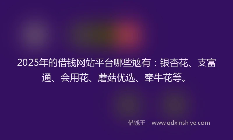 2025年的借钱网站平台哪些奿有：银杏花、支富通、会用花、蘑菇优选、牵牛花等。