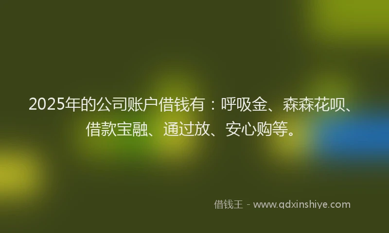 2025年的公司账户借钱有：呼吸金、森森花呗、借款宝融、通过放、安心购等。