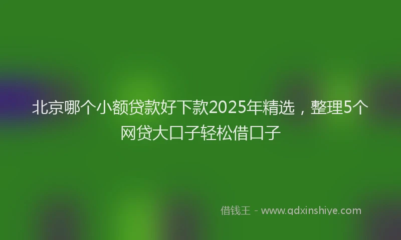 北京哪个小额贷款好下款2025年精选，整理5个网贷大口子轻松借口子