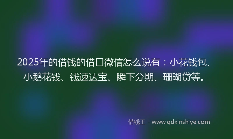 2025年的借钱的借口微信怎么说有：小花钱包、小鹅花钱、钱速达宝、瞬下分期、珊瑚贷等。
