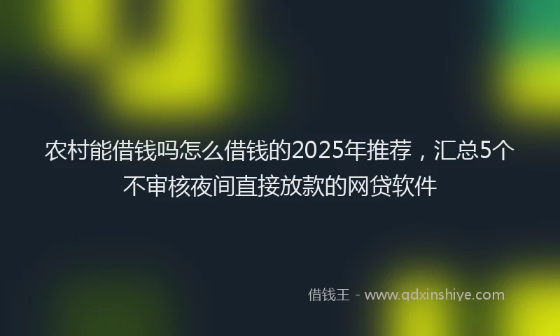 农村能借钱吗怎么借钱的2025年推荐，汇总5个不审核夜间直接放款的网贷软件
