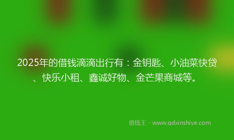 2025年的借钱滴滴出行有：金钥匙、小油菜快贷、快乐小租、鑫诚好物、金芒果商城等。