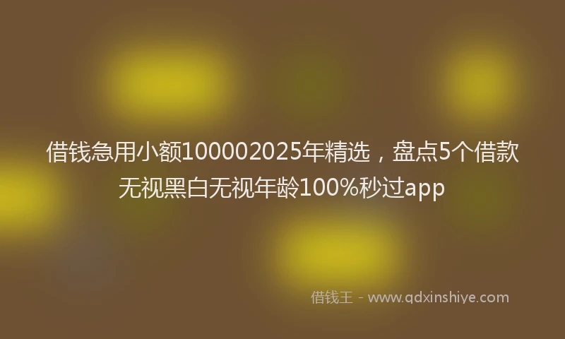 借钱急用小额100002025年精选，盘点5个借款无视黑白无视年龄100%秒过app