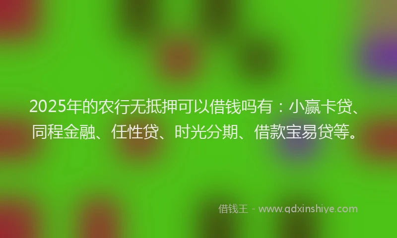 2025年的农行无抵押可以借钱吗有：小赢卡贷、同程金融、任性贷、时光分期、借款宝易贷等。