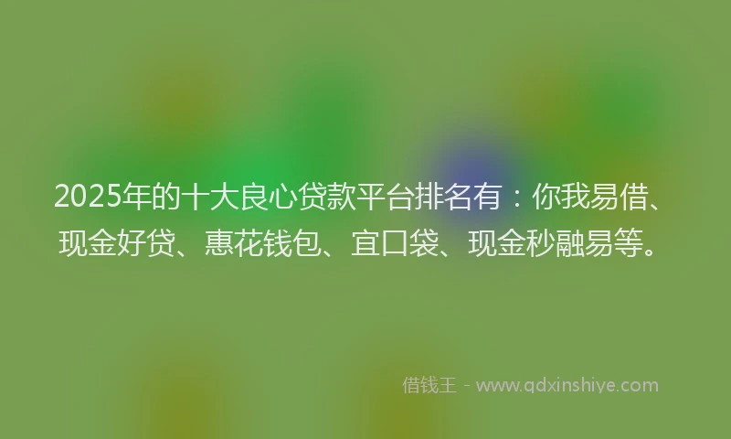 2025年的十大良心贷款平台排名有：你我易借、现金好贷、惠花钱包、宜口袋、现金秒融易等。