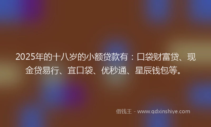 2025年的十八岁的小额贷款有：口袋财富贷、现金贷易行、宜口袋、优秒通、星辰钱包等。