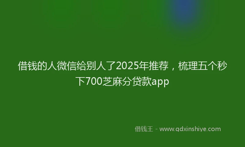 借钱的人微信给别人了2025年推荐，梳理五个秒下700芝麻分贷款app