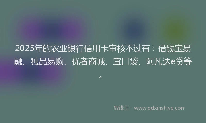 2025年的农业银行信用卡审核不过有：借钱宝易融、独品易购、优者商城、宜口袋、阿凡达e贷等。