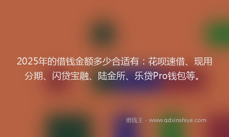2025年的借钱金额多少合适有：花呗速借、现用分期、闪贷宝融、陆金所、乐贷Pro钱包等。