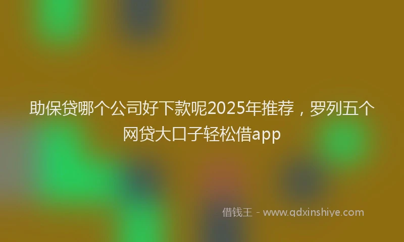 助保贷哪个公司好下款呢2025年推荐，罗列五个网贷大口子轻松借app