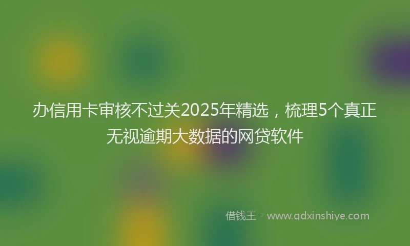 办信用卡审核不过关2025年精选，梳理5个真正无视逾期大数据的网贷软件