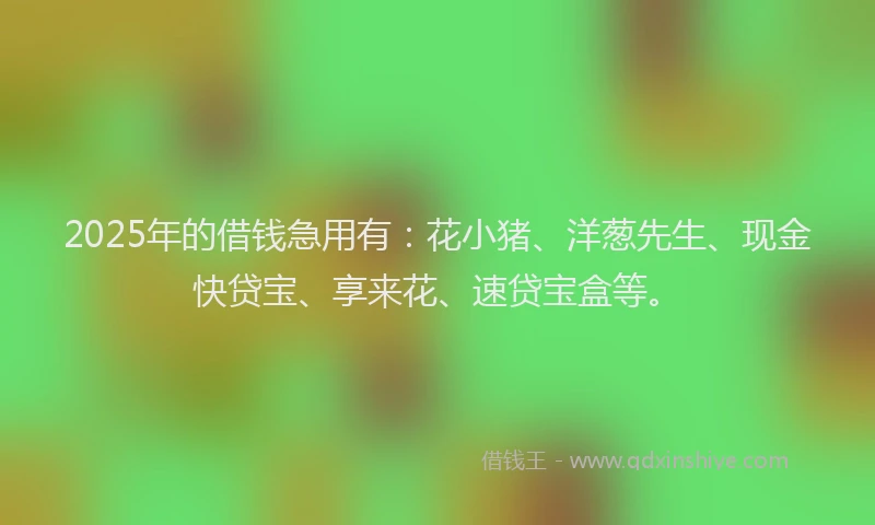 2025年的借钱急用有：花小猪、洋葱先生、现金快贷宝、享来花、速贷宝盒等。