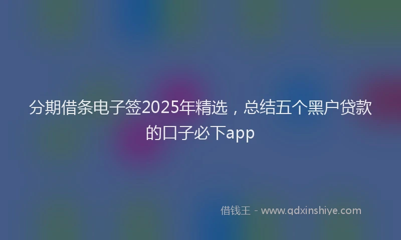 分期借条电子签2025年精选，总结五个黑户贷款的口子必下app