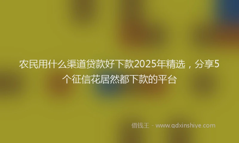农民用什么渠道贷款好下款2025年精选，分享5个征信花居然都下款的平台