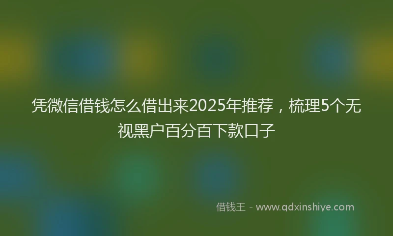 凭微信借钱怎么借出来2025年推荐，梳理5个无视黑户百分百下款口子