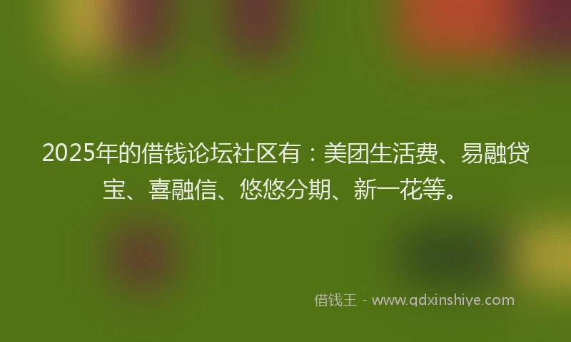 2025年的借钱论坛社区有：美团生活费、易融贷宝、喜融信、悠悠分期、新一花等。