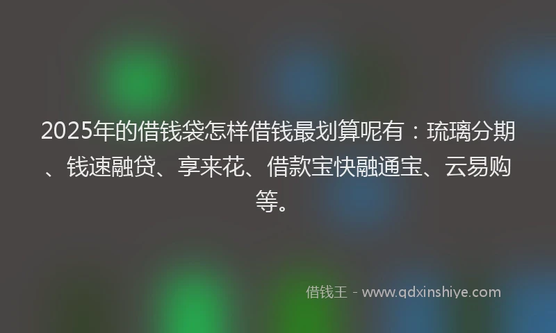 2025年的借钱袋怎样借钱最划算呢有：琉璃分期、钱速融贷、享来花、借款宝快融通宝、云易购等。