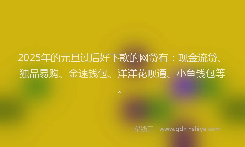 2025年的元旦过后好下款的网贷有：现金流贷、独品易购、金速钱包、洋洋花呗通、小鱼钱包等。