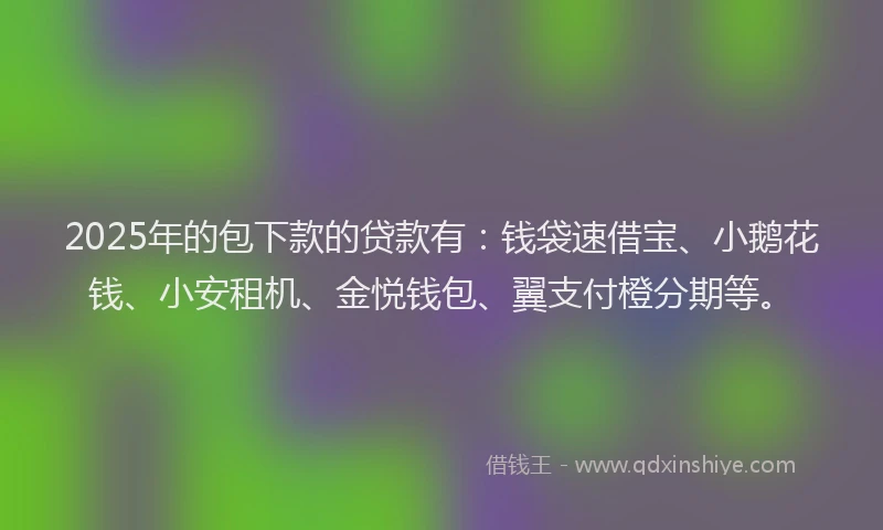 2025年的包下款的贷款有：钱袋速借宝、小鹅花钱、小安租机、金悦钱包、翼支付橙分期等。