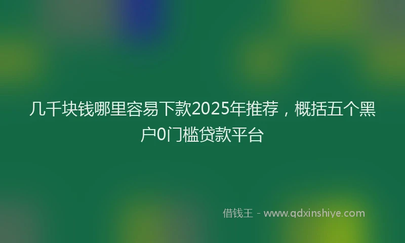 几千块钱哪里容易下款2025年推荐，概括五个黑户0门槛贷款平台