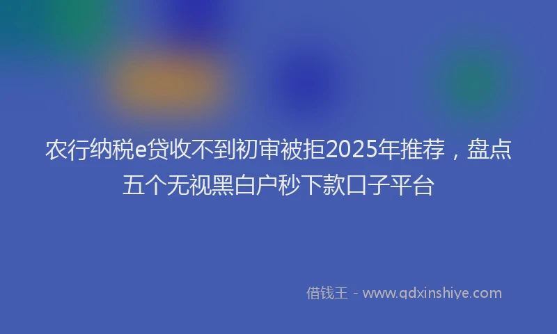 农行纳税e贷收不到初审被拒2025年推荐，盘点五个无视黑白户秒下款口子平台