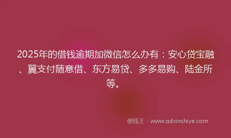 2025年的借钱逾期加微信怎么办有：安心贷宝融、翼支付随意借、东方易贷、多多易购、陆金所等。