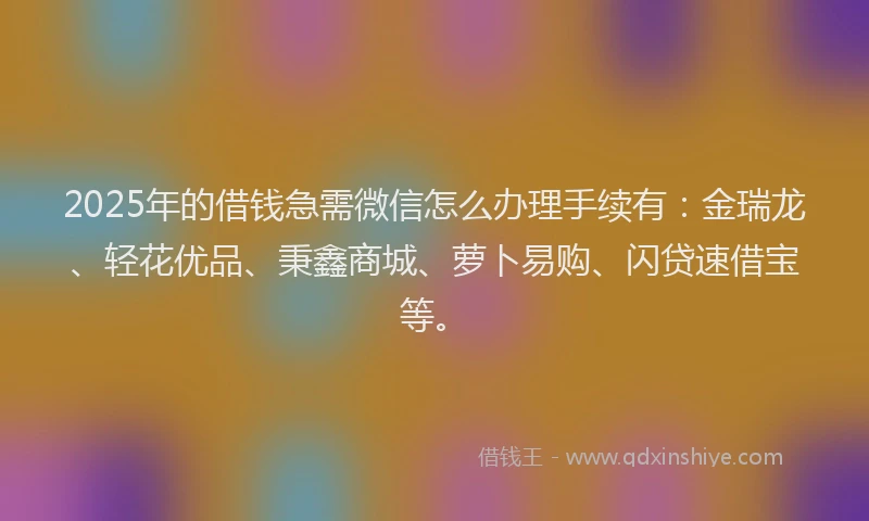 2025年的借钱急需微信怎么办理手续有：金瑞龙、轻花优品、秉鑫商城、萝卜易购、闪贷速借宝等。