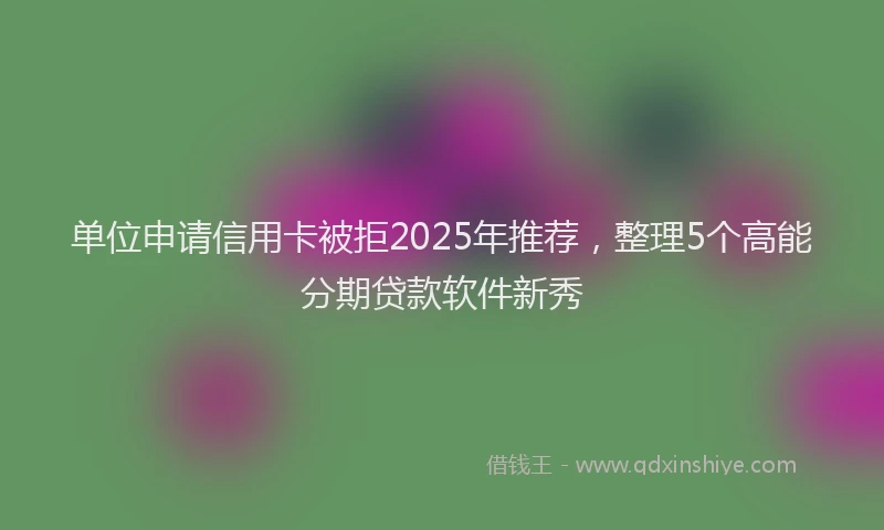 单位申请信用卡被拒2025年推荐，整理5个高能分期贷款软件新秀