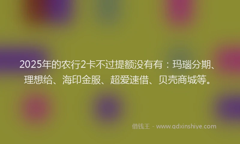 2025年的农行2卡不过提额没有有：玛瑙分期、理想给、海印金服、超爱速借、贝壳商城等。