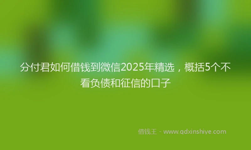 分付君如何借钱到微信2025年精选，概括5个不看负债和征信的口子