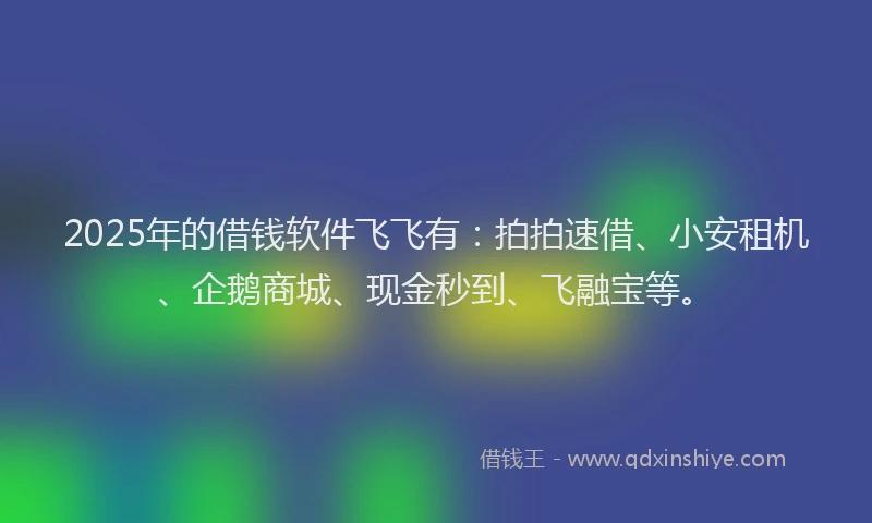 2025年的借钱软件飞飞有：拍拍速借、小安租机、企鹅商城、现金秒到、飞融宝等。