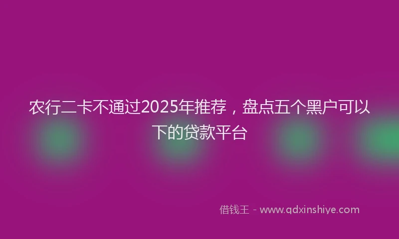 农行二卡不通过2025年推荐，盘点五个黑户可以下的贷款平台