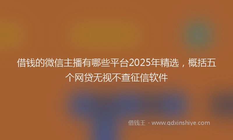 借钱的微信主播有哪些平台2025年精选，概括五个网贷无视不查征信软件
