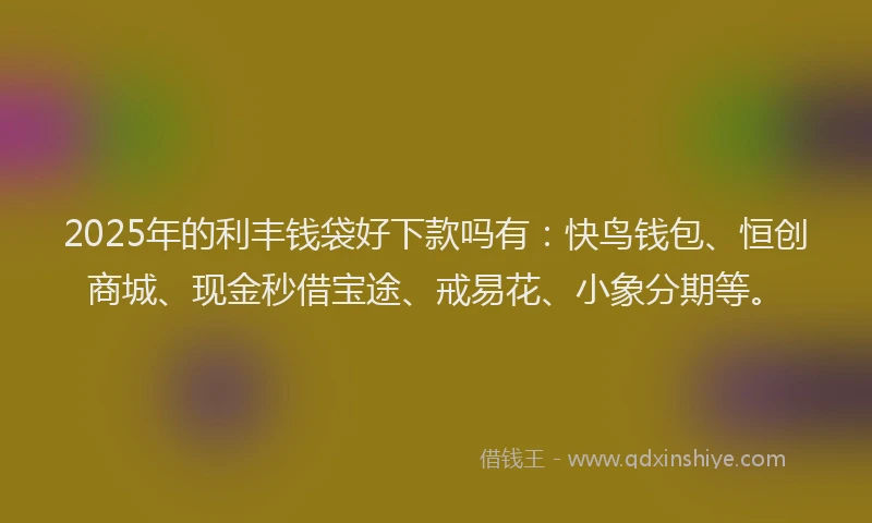 2025年的利丰钱袋好下款吗有：快鸟钱包、恒创商城、现金秒借宝途、戒易花、小象分期等。