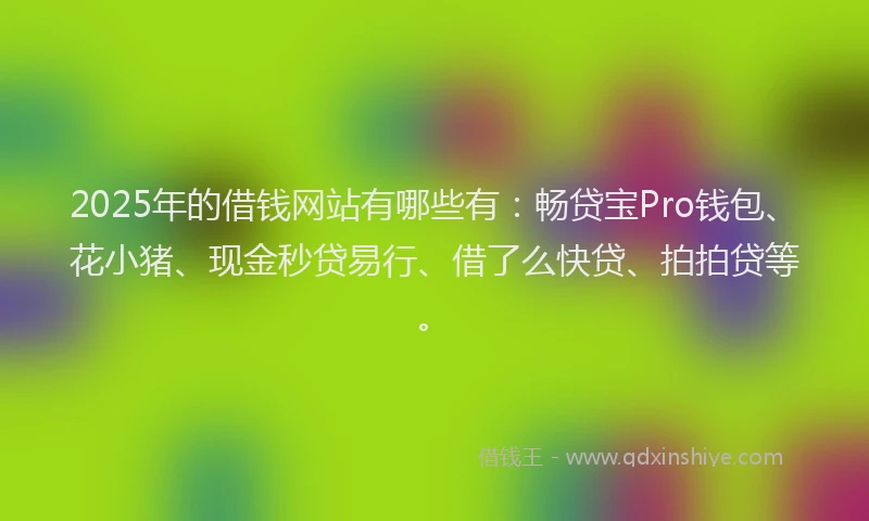 2025年的借钱网站有哪些有：畅贷宝Pro钱包、花小猪、现金秒贷易行、借了么快贷、拍拍贷等。