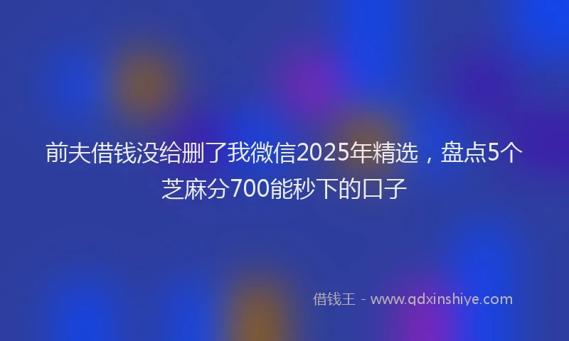 前夫借钱没给删了我微信2025年精选，盘点5个芝麻分700能秒下的口子