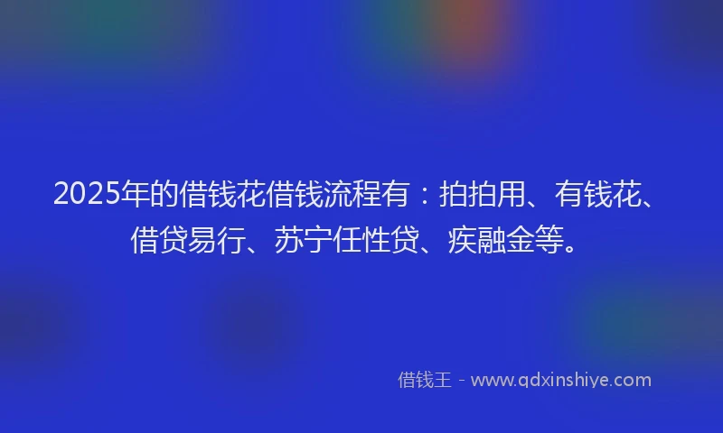 2025年的借钱花借钱流程有：拍拍用、有钱花、借贷易行、苏宁任性贷、疾融金等。
