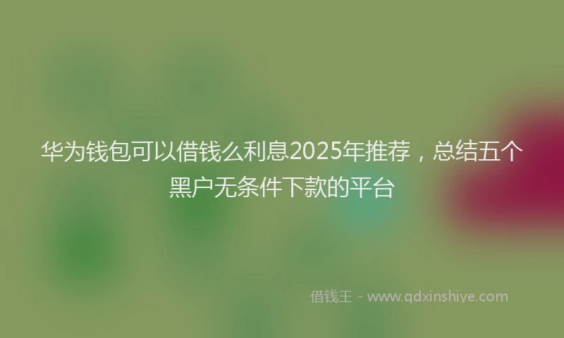 华为钱包可以借钱么利息2025年推荐，总结五个黑户无条件下款的平台