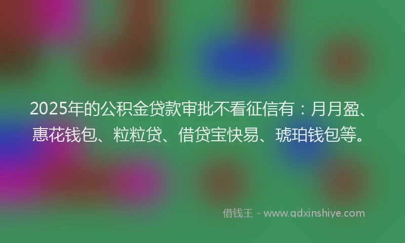 2025年的公积金贷款审批不看征信有：月月盈、惠花钱包、粒粒贷、借贷宝快易、琥珀钱包等。