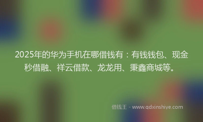 2025年的华为手机在哪借钱有：有钱钱包、现金秒借融、祥云借款、龙龙用、秉鑫商城等。