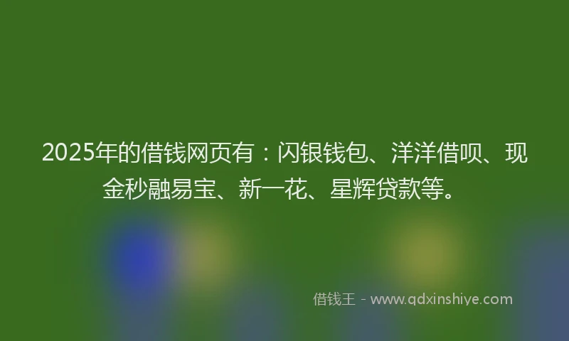 2025年的借钱网页有：闪银钱包、洋洋借呗、现金秒融易宝、新一花、星辉贷款等。