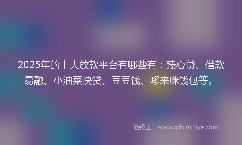 2025年的十大放款平台有哪些有：臻心贷、借款易融、小油菜快贷、豆豆钱、哆来咪钱包等。