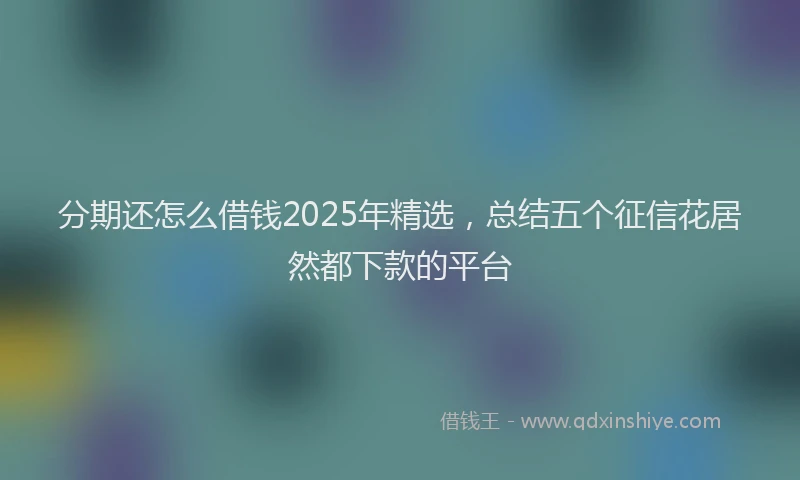 分期还怎么借钱2025年精选，总结五个征信花居然都下款的平台