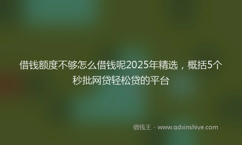 借钱额度不够怎么借钱呢2025年精选，概括5个秒批网贷轻松贷的平台